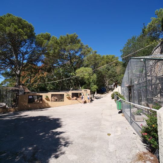 Zoo du Mont Faron