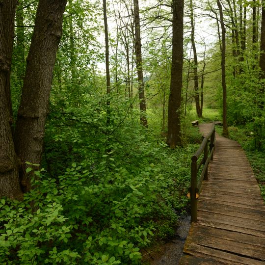 Pramen Lužické Nisy u Nové Vsi nad Nisou