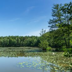 Wermsdorfer Waldteichkette