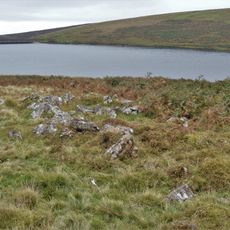 Hut circles and two enclosures on Dean Moor, near River Avon
