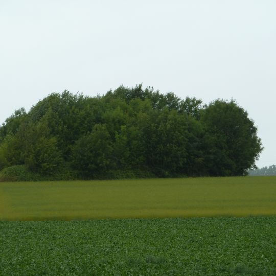 Tumulus d'Aineffe