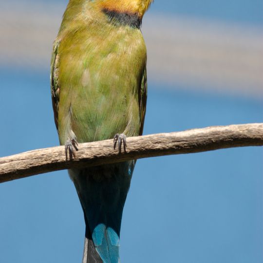 Precipice National Park