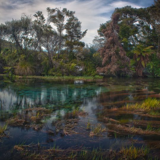 Te Waikoropupū Springs