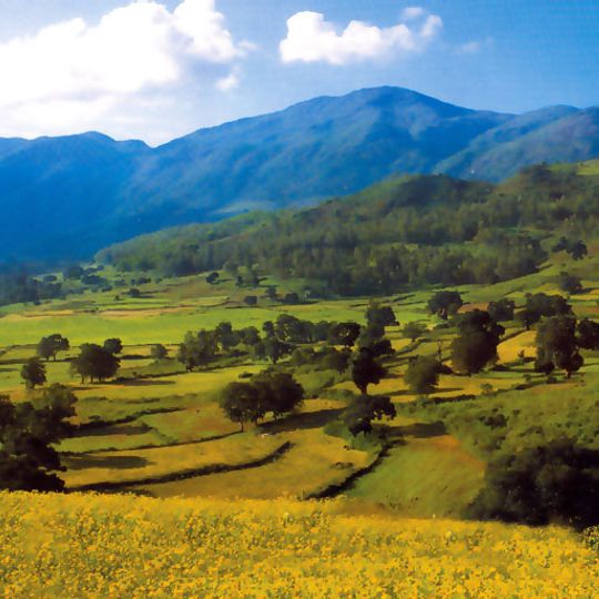 Araku Valley