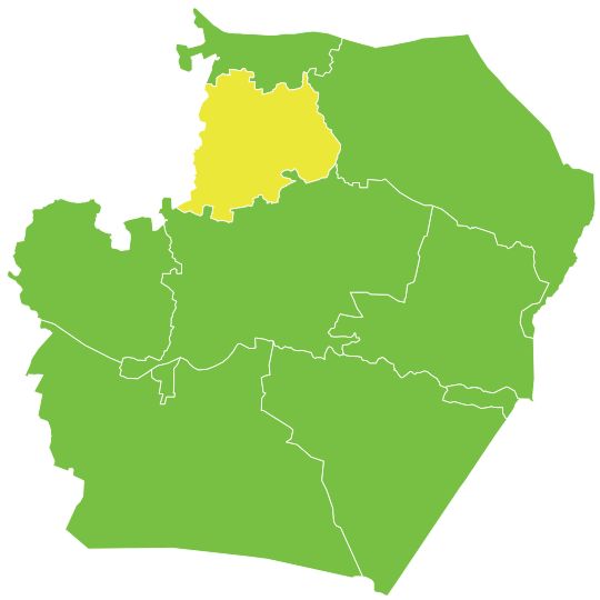 Ayn Issa
