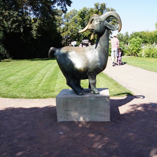 Afrikanische Zwergziege