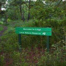 Lings Wood Nature Reserve