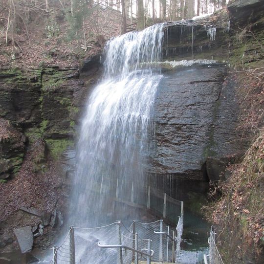 Buttermilk Falls Natural Area