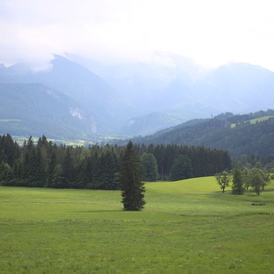 Mooswiesen bei Rading