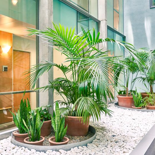 Hotel ibis Barcelona Centro