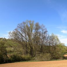 Auewald Balbach Herbstwiesen