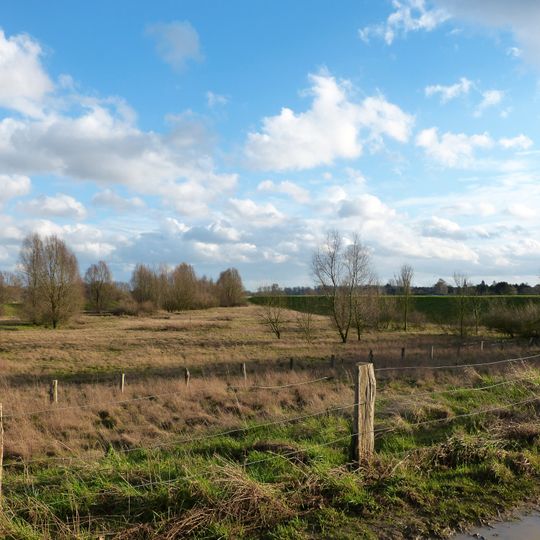 NSG Uedesheimer Rheinbogen