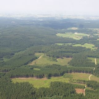 Parque Natural da Floresta de Arnsberg