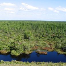 Pocosin Lakes National Wildlife Refuge