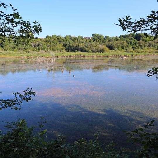 Réserve naturelle du Marais-Léon-Provancher