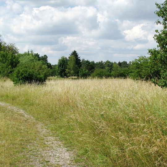 Mallertshofer Holz mit Heiden