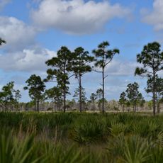 St. Sebastian River Preserve State Park