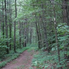 Joseph E. Ibberson Conservation Area