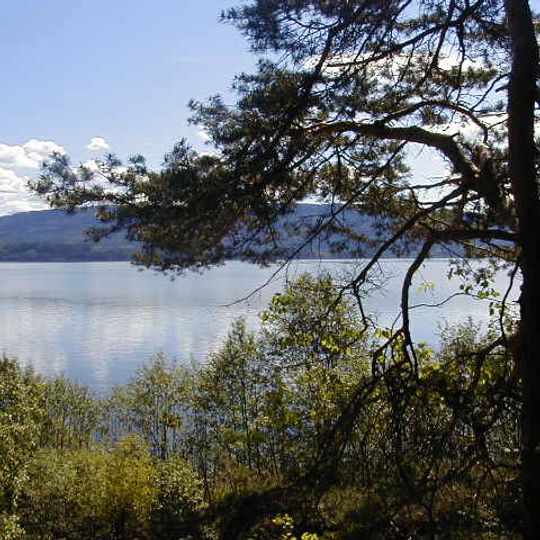 Ringerike