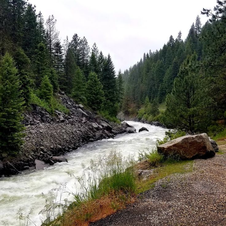 Boise National Forest