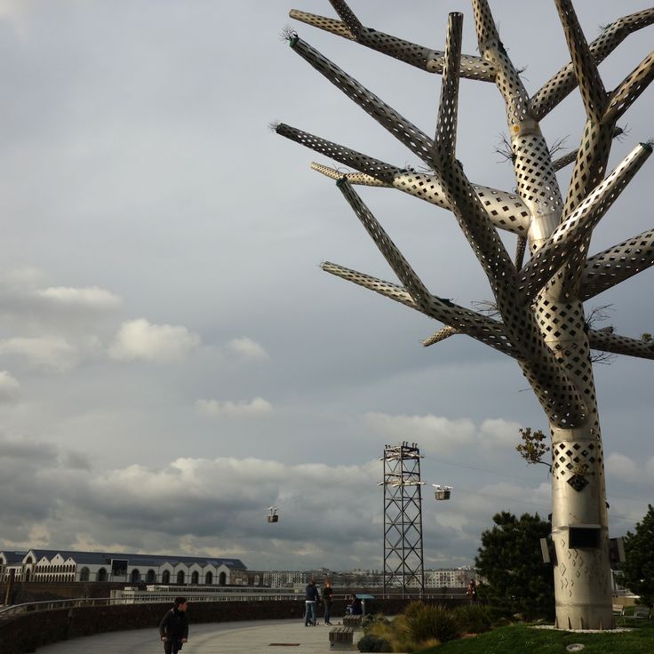 L'arbre empathique