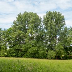 Seitenbach der Glimke am Pecherhof