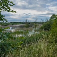 Stawy Kiszkowskie observation tower