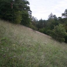 Réserve naturelle régionale Im'Berg