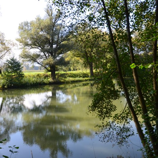 Morgensand und Seelachen