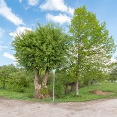 Weiden am Finkenbach