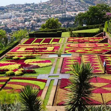 Recorrido por Madeira: jardines, miradores, montañas