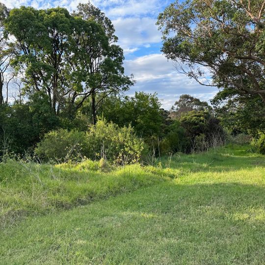 Waddell Brothers Park