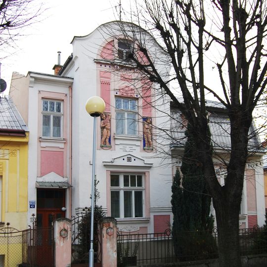 Svatopluka Čecha 43