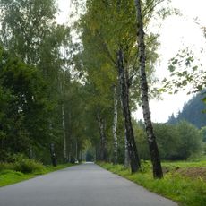 Alej Maxe Švabinského