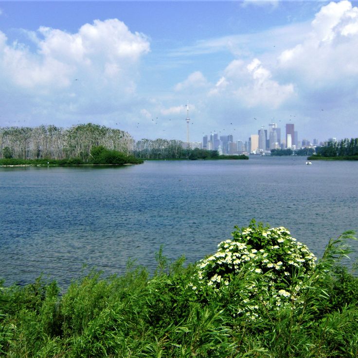 Parque Tommy Thompson