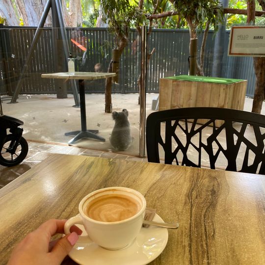 Hamilton Island Wildlife Park