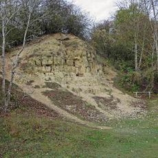 White Limestone Formation