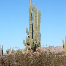 Valle de Los Gigantes