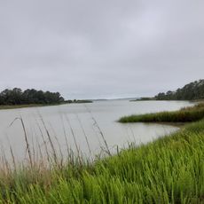 Hog Island Wildlife Management Area