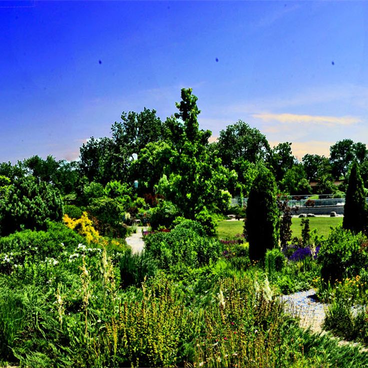 Garfield Park Conservatory
