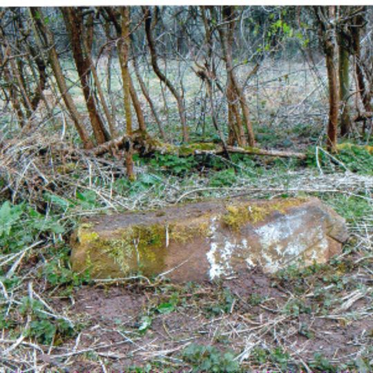 Milestone - So 498219