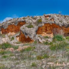 Abrics de l'Apotecari