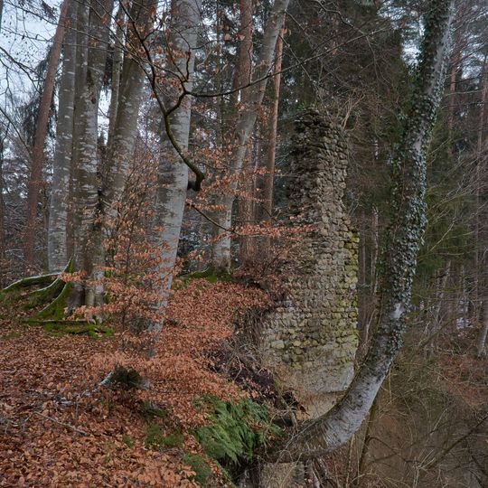 Burgrest Neusummerau