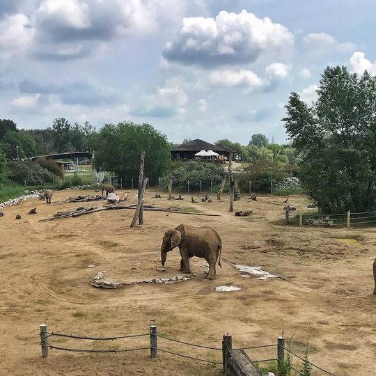 Elephant enclosure