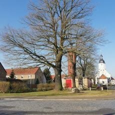 Naturdenkmal Stieleiche
