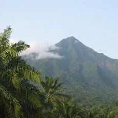 Kamerun