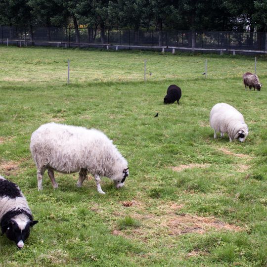 Reykjavík Park and Zoo