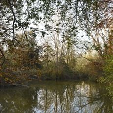 Garzaia dello zuccherificio di Codigoro e Po di Volano