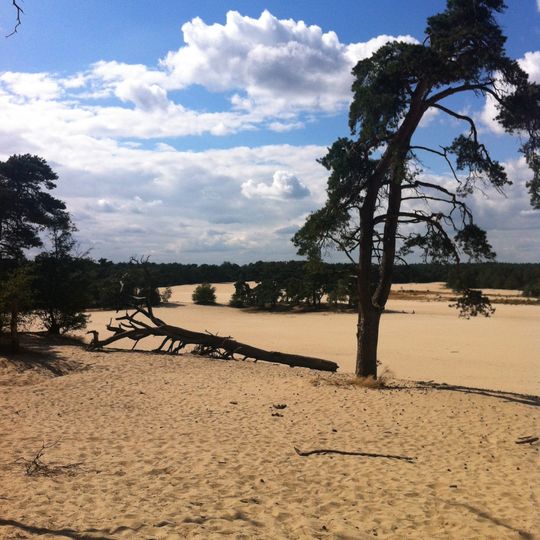 Loonse en Drunense Duinen National Park