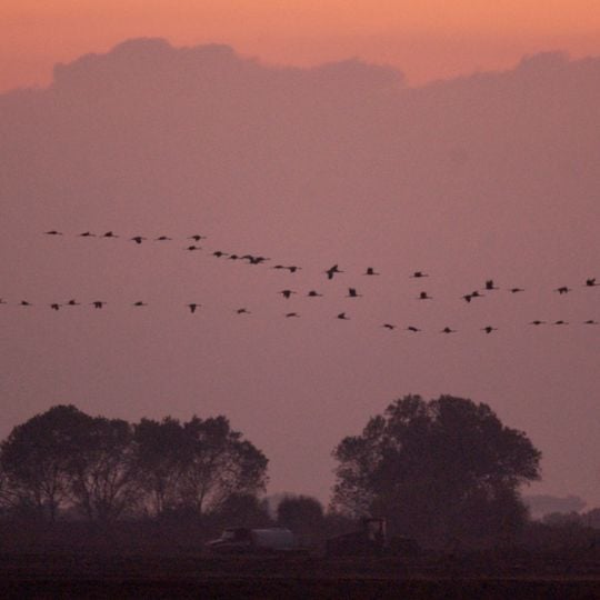 Pixley National Wildlife Refuge